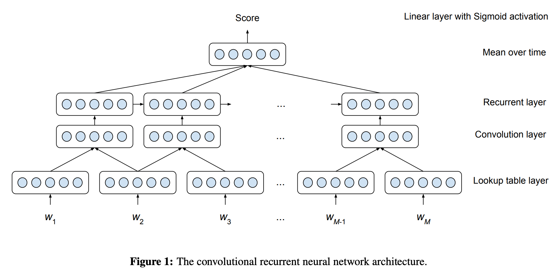 Neural architecture of (Taghipour and Ng 2016)